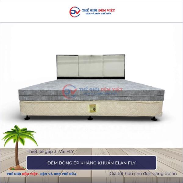 Đệm bông ép kháng khuẩn Elan FLY